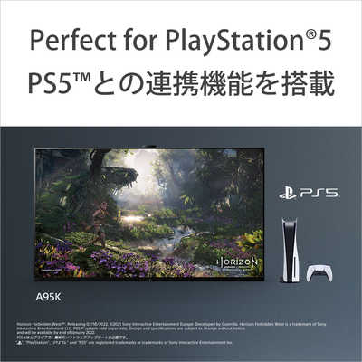 ソニー SONY 有機ELテレビ BRAVIA ブラビア A95Kシリーズ [ 65V