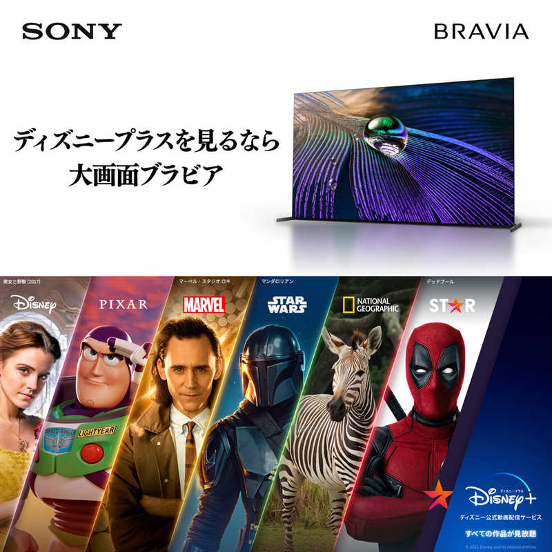 ソニー　SONY ソニー　SONY 液晶テレビ BRAVIA ( ブラビア ) [ 55V型 / 4Kチューナー内蔵 ] KJ-55X85K KJ-55X85K