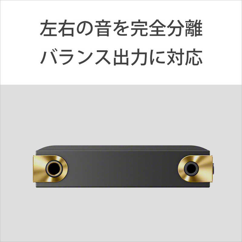ギフ_包装】 イーベストソニー SONY NW-ZX707 ハイレゾ音源対応