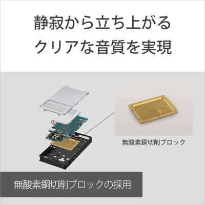 NW-ZX300 64GBモデル メーカー長期保証有効中