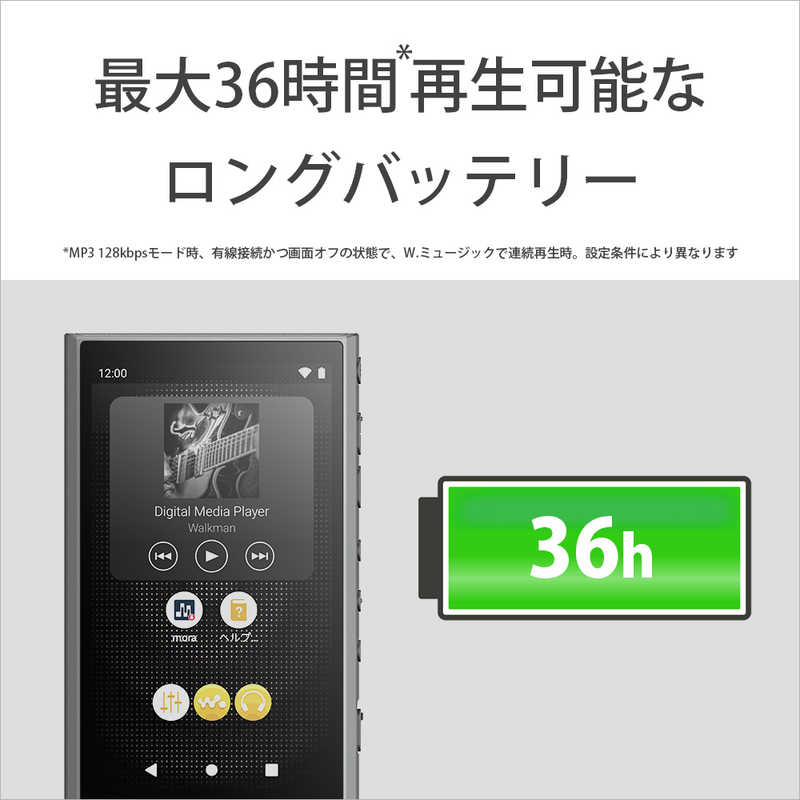 ソニー　SONY ソニー　SONY ウォークマン WALKMAN Aシリーズ グレー[32GB/2023年モデル] NW-A306 HC NW-A306 HC