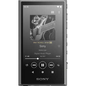 ソニー　SONY ウォークマン WALKMAN Aシリーズ グレー[32GB/2023年モデル] NW-A306 HC