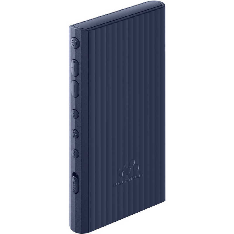 ソニー　SONY ソニー　SONY ウォークマン WALKMAN Aシリーズ ブルー[64GB/2023年モデル] NW-A307 LC NW-A307 LC