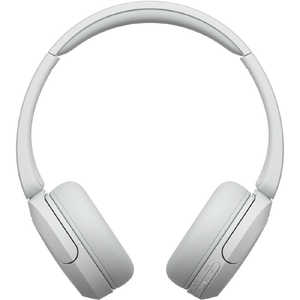 ˡ SONY ֥롼ȥإåɥۥ ۥ磻ȡΥ⥳󡦥ޥб /Bluetooth WH-CH520 WZ