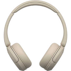 ˡ SONY ֥롼ȥإåɥۥ ١Υ⥳󡦥ޥб /Bluetooth WH-CH520 CZ