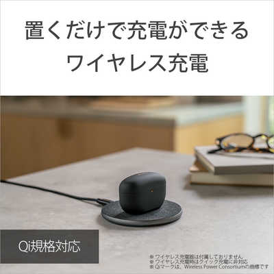 ソニー SONY 完全ワイヤレスイヤホン ブラック WF-1000XM5BC SONY WF-1000XM5 (B) [ブラック] 価格比較 - 価格.com