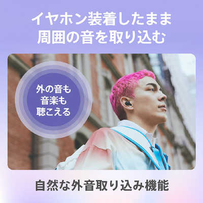 ソニー SONY フルワイヤレスイヤホン ノイズキャンセリング対応