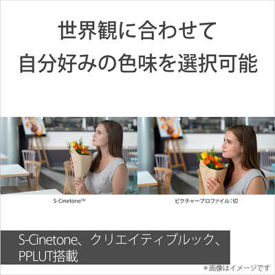 SONY α ZV-E1本体 ミラーレスカメラ Eマウント Sony Full-frame Interchangeable Lens Mirrorless Vlog Camera