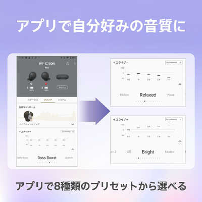 ソニー SONY 【アウトレット】フルワイヤレスイヤホン ノイズキャンセ