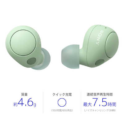 ★ソニーWF-SP700N★ワイヤレスノイズキャンセリングイヤホン SONY ブラック bluetooth ステレオヘッドフォン完全　左右独立フルワイヤレス ソニー 完全ワイヤレスノイズキャンセリングイヤホン WF-SP700N