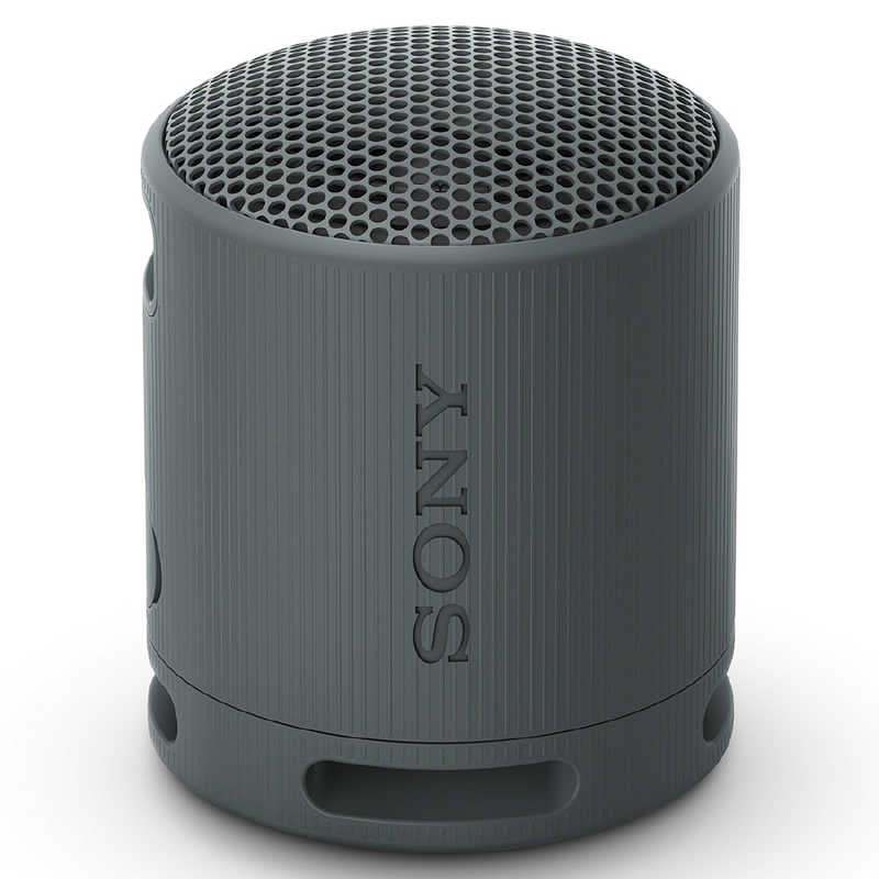 ソニー　SONY ソニー　SONY ワイヤレスポータブルスピーカー ブラック［防水 /Bluetooth対応］ SRS-XB100 BC SRS-XB100 BC