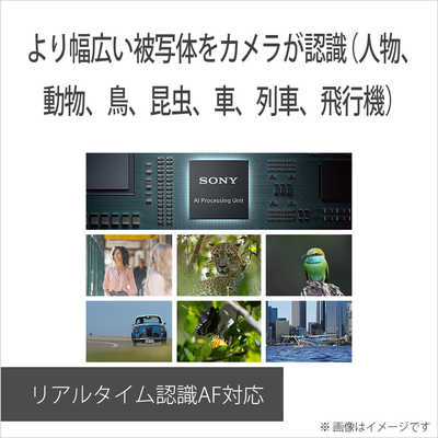 ソニー SONY ミラーレス一眼カメラ α6700 ボディ ILCE-6700 の
