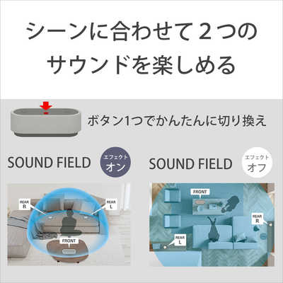 ソニー SONY ソニー 完全ワイヤレス Bluetoothスピーカー グレー