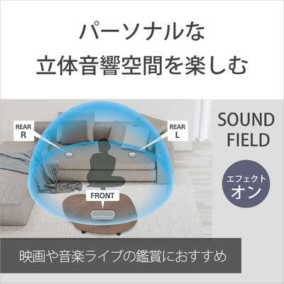 ソニー SONY ソニー 完全ワイヤレス Bluetoothスピーカー グレー