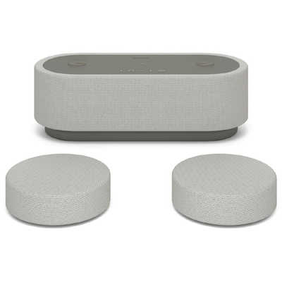 ソニー SONY ソニー 完全ワイヤレス Bluetoothスピーカー グレー