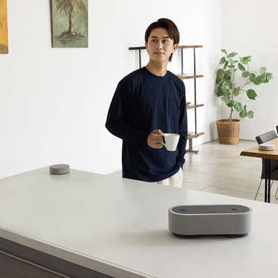 ソニー SONY ソニー 完全ワイヤレス Bluetoothスピーカー グレー