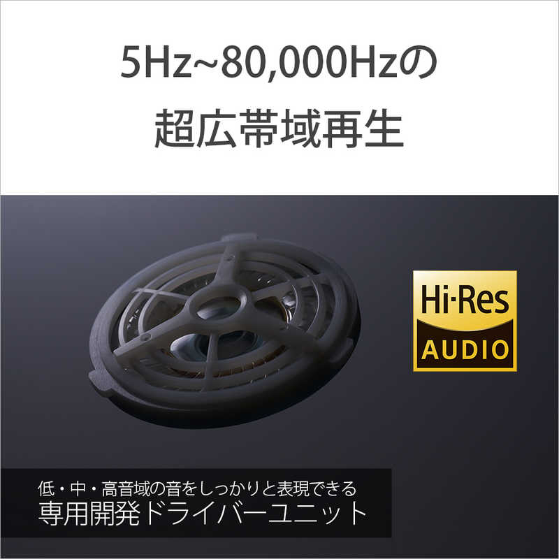 ソニー　SONY ソニー　SONY モニターヘッドホン ブラック［φ6.3mm 標準プラグ /ハイレゾ対応］ MDR-MV1 MDR-MV1