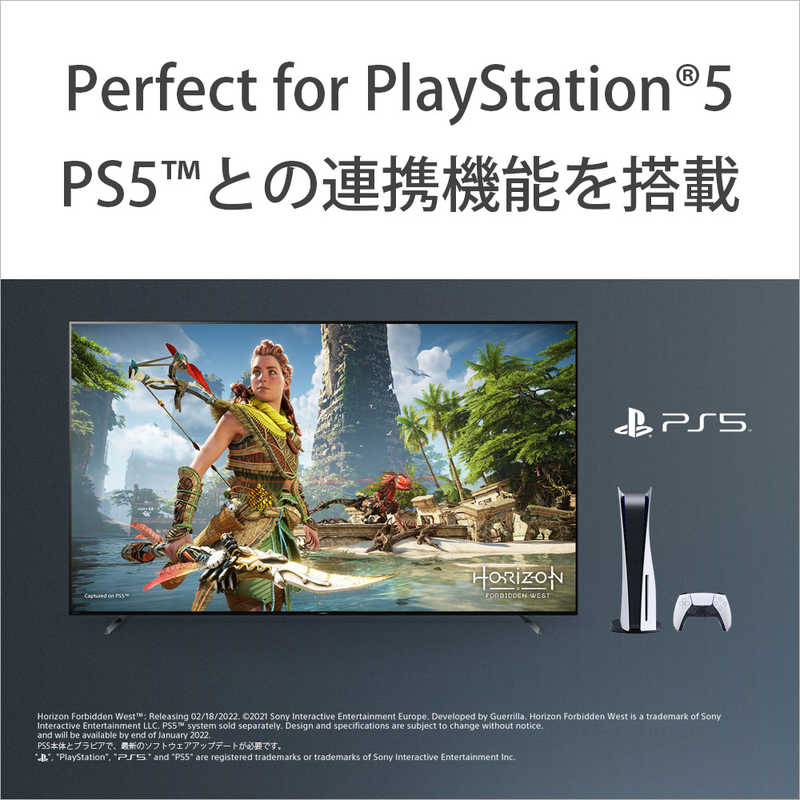 ソニー　SONY ソニー　SONY 有機ELテレビ BRAVIA ( ブラビア ) A80Lシリーズ [ 65V型 / 4K対応 / BS・CS 4Kチューナー内蔵 / YouTube 対応 ] XRJ-65A80L XRJ-65A80L