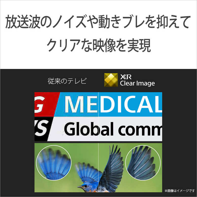 ソニー　SONY ソニー　SONY 4K液晶テレビ BRAVIA(ブラビア) X90Lシリーズ [55V型 /4Kチューナー内蔵 /YouTube対応]  XRJ-55X90L XRJ-55X90L