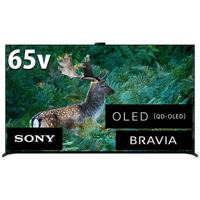 ソニー SONY 有機ELテレビ BRAVIA ブラビア A95Lシリーズ [ 65V型 / 4K