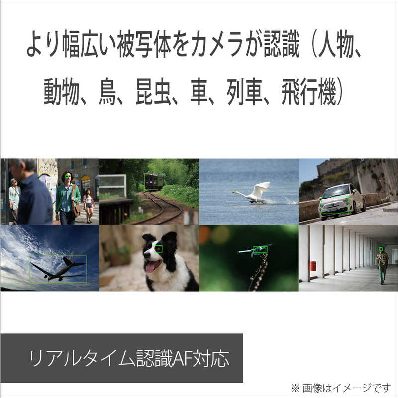 ソニー　SONY ソニー　SONY ミラーレス一眼カメラ α7C II ボディ ILCE-7CM2 S シルバー α7C II ボディ ILCE-7CM2 S シルバー