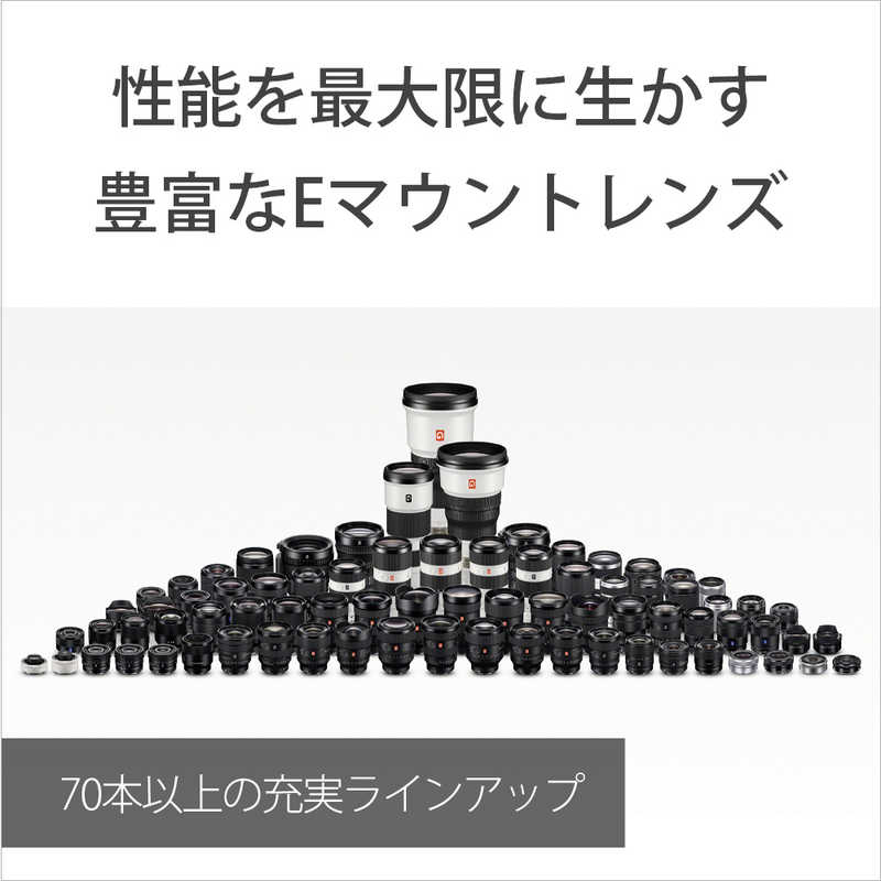 ソニー　SONY ソニー　SONY ミラーレス一眼カメラ α7C II ボディ ILCE-7CM2 S シルバー α7C II ボディ ILCE-7CM2 S シルバー