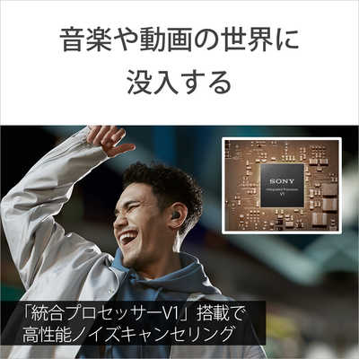 ソニー SONY 完全ワイヤレスイヤホン 「LinkBuds S × Olivia ソニー SONY 完全ワイヤレスイヤホン 「LinkBuds S × Olivia