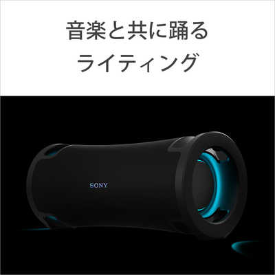 sony sports カメラ防水ケースを改造したBluetoothスピーカー