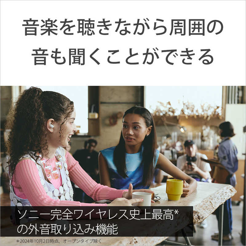 ソニー　SONY ソニー　SONY 完全ワイヤレスイヤホン LinkBuds Fit ( リンクバッズフィット ) ［ノイズキャンセリング対応 /Bluetooth対応］ ブラック WF-LS910N (B)  WF-LS910N (B) 