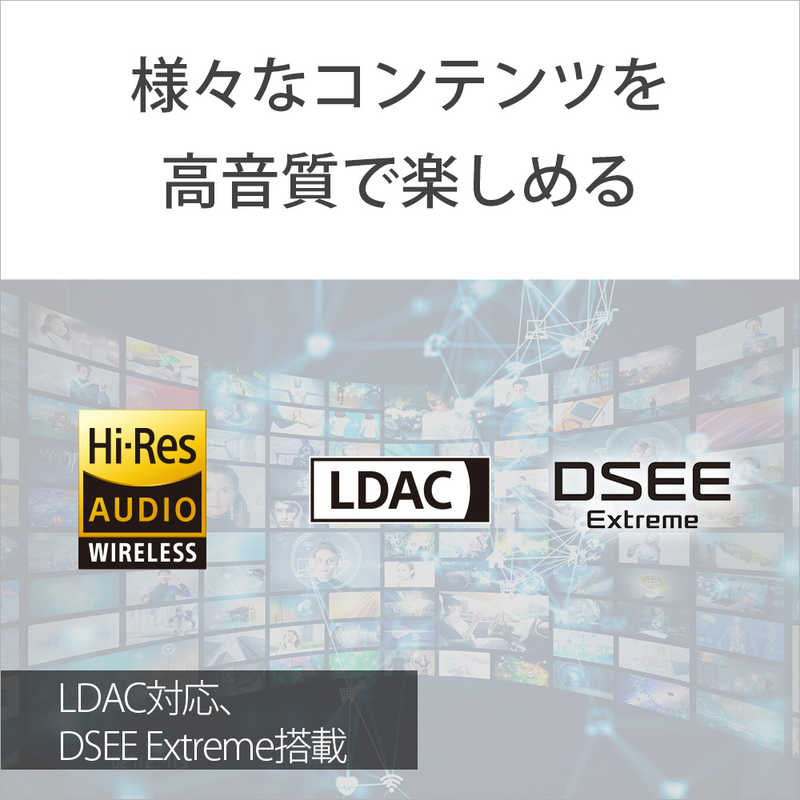 ソニー　SONY ソニー　SONY 完全ワイヤレスイヤホン LinkBuds Fit ( リンクバッズフィット ) ［ノイズキャンセリング対応 /Bluetooth対応］ ブラック WF-LS910N (B)  WF-LS910N (B) 