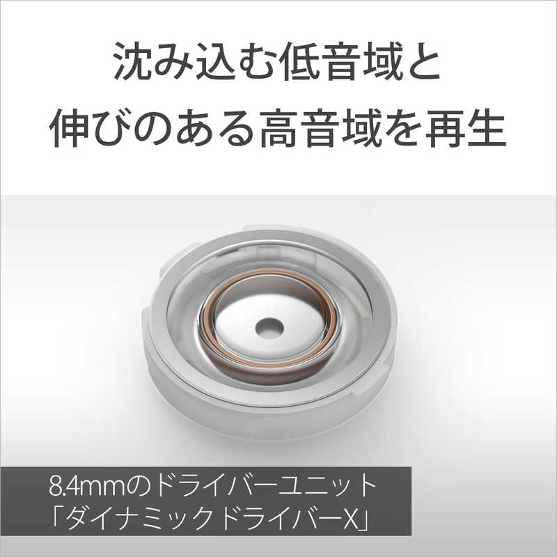 ソニー　SONY ソニー　SONY 完全ワイヤレスイヤホン LinkBuds Fit ( リンクバッズフィット ) ［ノイズキャンセリング対応 /Bluetooth対応］ ブラック WF-LS910N (B)  WF-LS910N (B) 