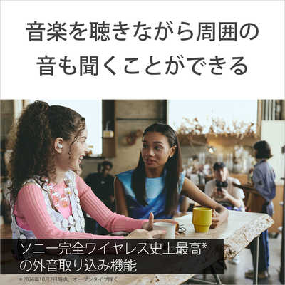 SONY LinkBuds Fit 本音レビュー 遊び要素が満載で楽しい