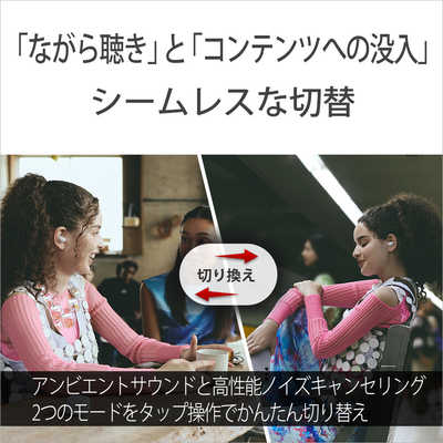 ソニー SONY 【アウトレット】SONY 完全ワイヤレスイヤホン