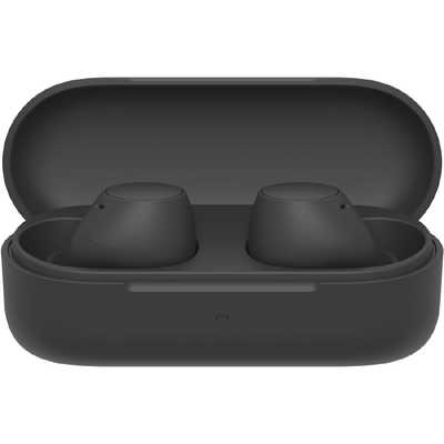 ソニー SONY フルワイヤレスイヤホン [ ワイヤレス ( 左右分離