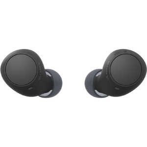 ソニー SONY フルワイヤレスイヤホン [ ワイヤレス ( 左右分離 ) / Bluetooth 対応 ] ブラック WF-C510BC