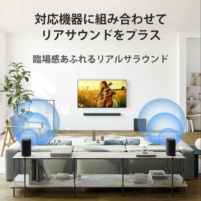 ソニー SONY リアスピーカー SA-RS8 の通販 - カテゴリ：オーディオ