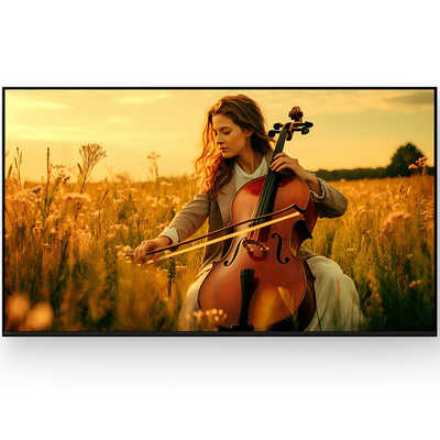 ソニー SONY Mini LED液晶テレビ BRAVIA 5 ブラビア5 XR50 75V型 4K