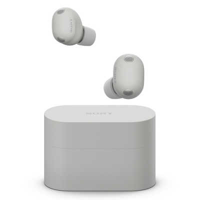 ソニー SONY 完全ワイヤレスイヤホン WF-1000XM6 プラチナシルバー