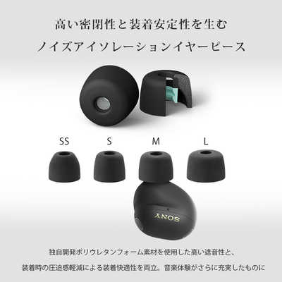 ソニー SONY 完全ワイヤレスイヤホン WF-1000XM6 プラチナシルバー