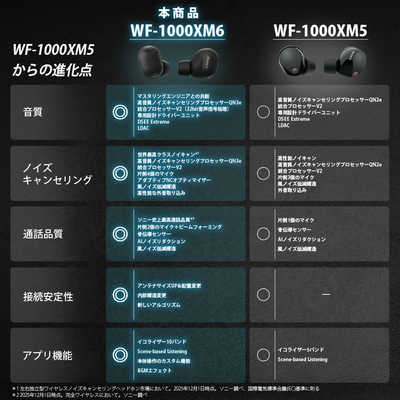 ソニー SONY 完全ワイヤレスイヤホン WF-1000XM6 プラチナシルバー