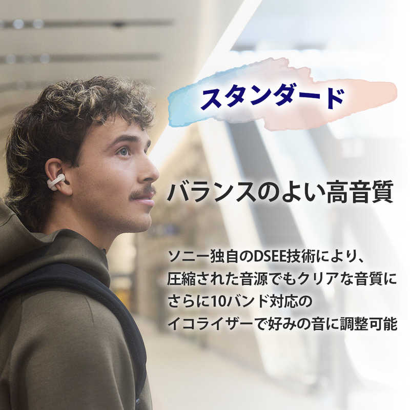 ソニー　SONY ソニー　SONY 完全ワイヤレスイヤホン LinkBuds Clip ［ イヤーカフ型 ( オープンイヤー型 ) ］ ブラック WF-LC900 BZ WF-LC900 BZ