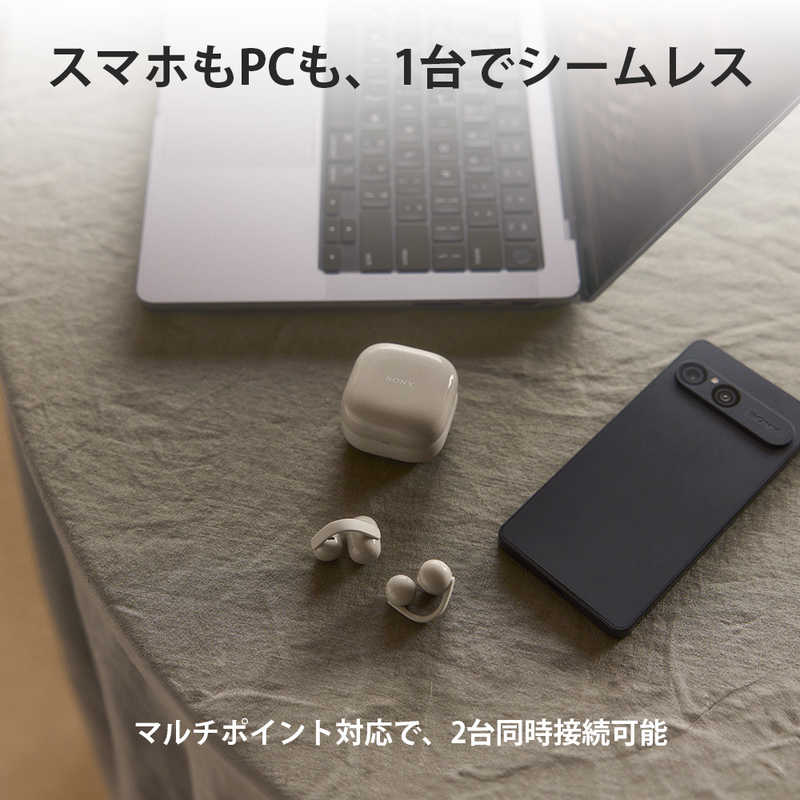 ソニー　SONY ソニー　SONY 完全ワイヤレスイヤホン LinkBuds Clip ［ イヤーカフ型 ( オープンイヤー型 ) ］ ブラック WF-LC900 BZ WF-LC900 BZ