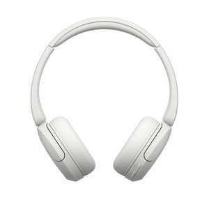 �\�j�[ SONY �u���[�g�D�[�X�w�b�h�z�� �m�I�[�o�[�w�b�h�^ / Bluetooth�Ή��n �z���C�g WH-CH530WZ