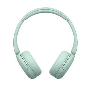 �\�j�[ SONY �u���[�g�D�[�X�w�b�h�z�� �m�I�[�o�[�w�b�h�^ / Bluetooth�Ή��n �~���g WH-CH530 GZ