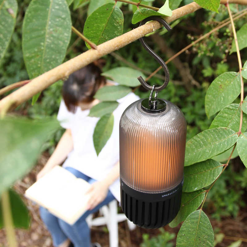 2021新作】 スパイス CS2020 Bluetoothスピーカー ブラック スピーカー