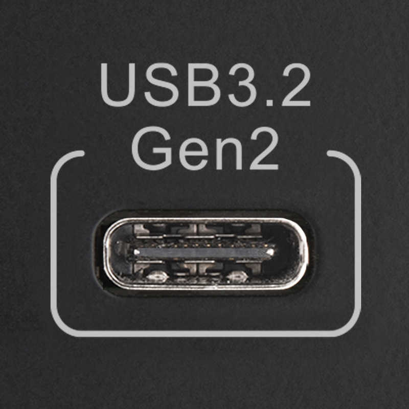 センチュリー センチュリー USB3.2 Gen2 RAID機能付き3.5インチ SATA6G 2bay HDDケース 裸族 [3.5インチ対応 /SATA /2台] CRNS35U32CRF CRNS35U32CRF
