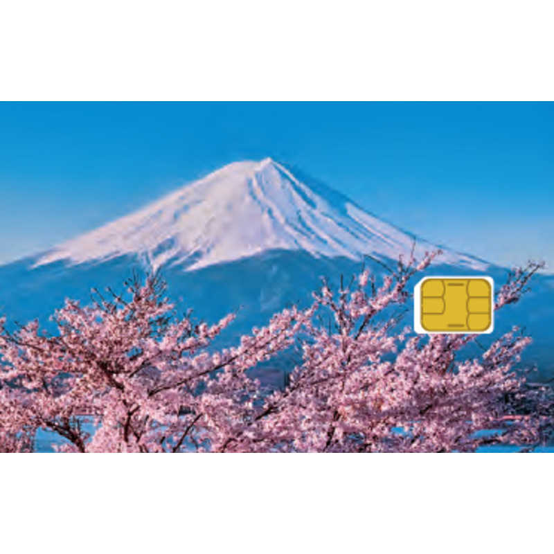 SoftBank SoftBank Prepaid SIM for Travel セット(MF1) ZGP939 ZGP939