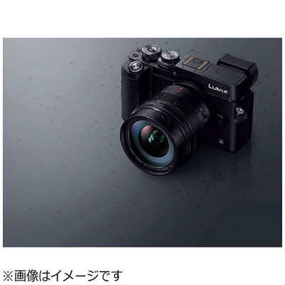 パナソニック Panasonic カメラレンズ LEICA DG SUMMILUX 12mm