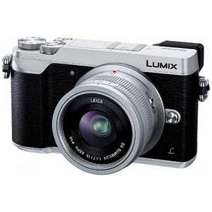 パナソニック　Panasonic ミラーレス一眼カメラ(レンズキット)シルバー DMCGX7MK2LS