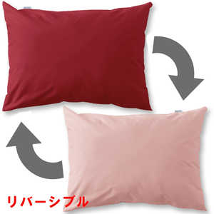 I [iCg Jo[ FROM t [iCg (MerryNight) bh m43×63cmp /^Cvn